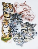 by Barbara Keith