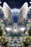 by TOMMY  BEAVER