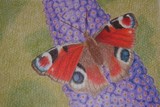 by Becca Gregory