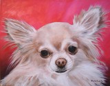 by Sharon Lamb