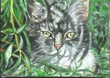 by Donna Richards