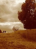 by Ropati Leaso-Cobb