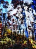 by Ropati Leaso-Cobb