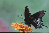 by diane deason
