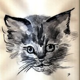 by Paula  Bodger