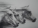 by els boedts