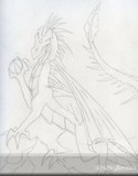 by Dual Qyrineg