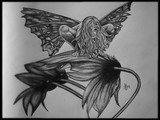 by Alycia Fraser