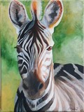by Liz Mclelland