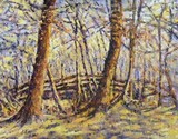 by Joseph Swenarton