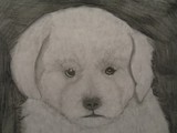 by Melody Miller