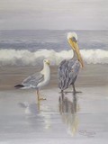 by Carol Thompson