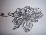 by Abi Ryan