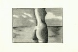 by MABEL CAPPELLA