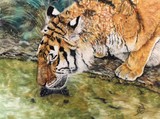 by tracy rice