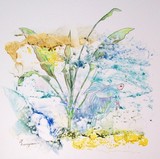 by Dianne Nungesser