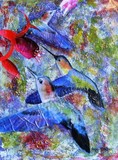 by Tami Booher