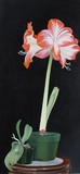 by Marie Dunkley