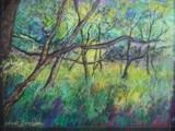 by Anna Beveridge