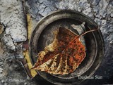 by Dashuai Sun