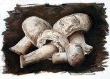 by John Salozzo