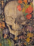 by Jason Howgate