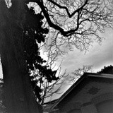 by Marie josé LAURIER