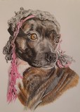 by Debi Ware