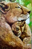 by Olga Koval
