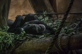 by Simon Sulkowski