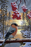 by Harri Honkala