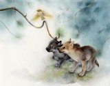 by Tracy Herrmann