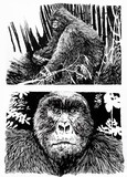 by Franco Zanichelli