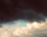 by Makayla Jones
