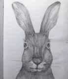 by Evdokia Risak