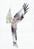 by Glen 