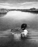 by John Houle