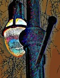 by Lyle  Kroll