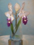 by Mihaela B