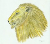 by Nancy Tews