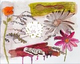 by Zuzi Petals & Pics