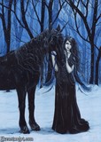 by Rebecca Sinz