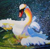 by connie van winssen