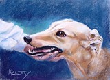 by Anne Kelty