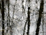 by Tanya Antimirova