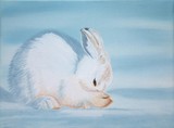 by Katie Morgan