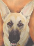 by JANIE THOMPSON-LIDE