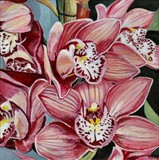 by Timothy McAninch