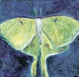 by Maureen Girard