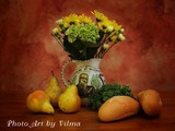 by Vilma Rohena